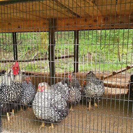 Appartamento Etno Selo Bistrovo Vitez Esterno foto