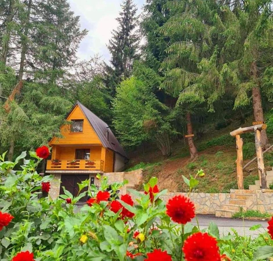 Appartamento Etno Selo Bistrovo Vitez Esterno foto