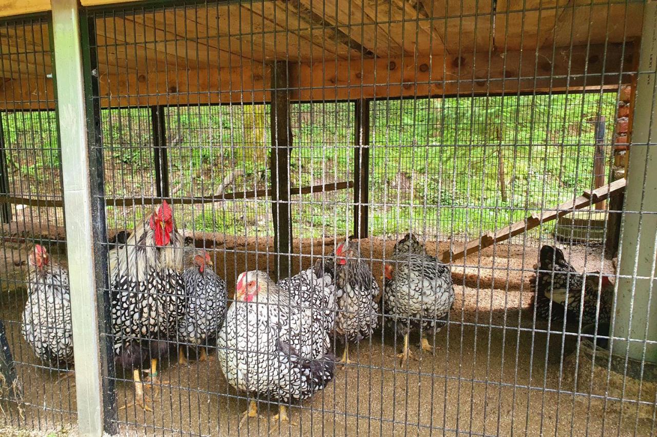 Appartamento Etno Selo Bistrovo Vitez Esterno foto